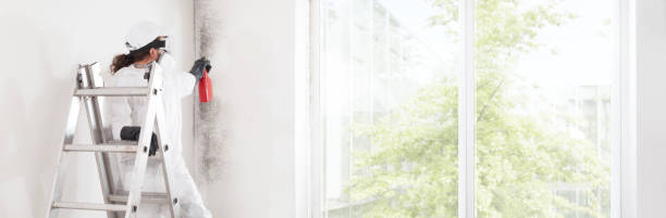 Best HVAC Mold Inspection and Cleaning  in Seven Mile, AZ