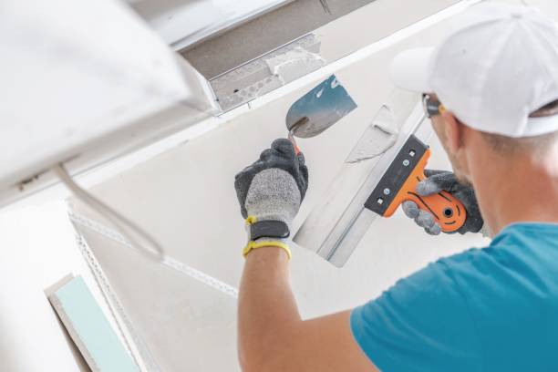 Mold Documentation for Insurance Claims in Seven Mile, AZ